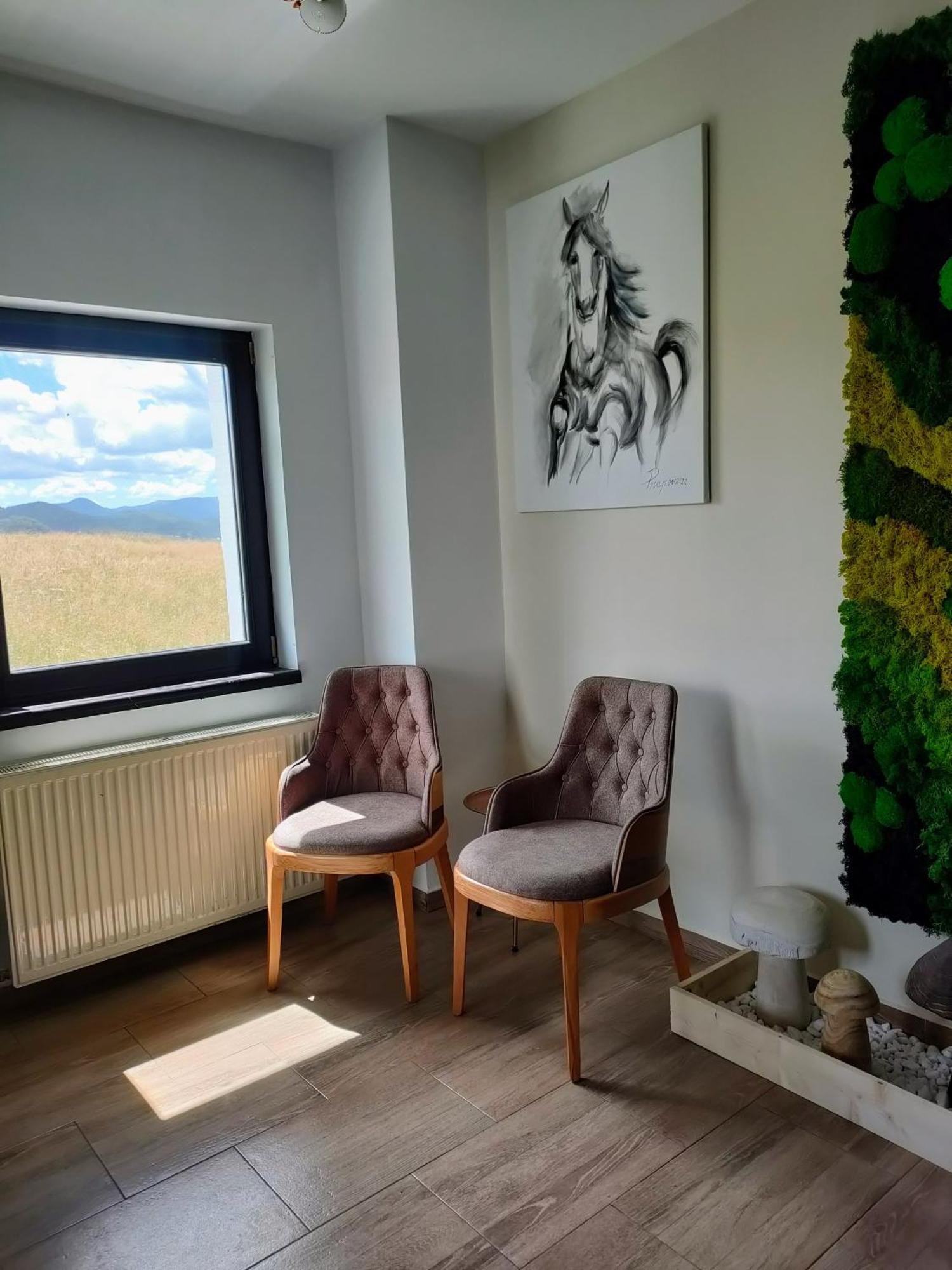 Luca-hotel 3* Şirnea